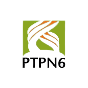 PTPN 6